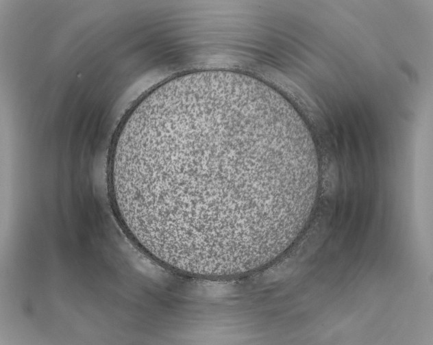 X0000111661086200908141308