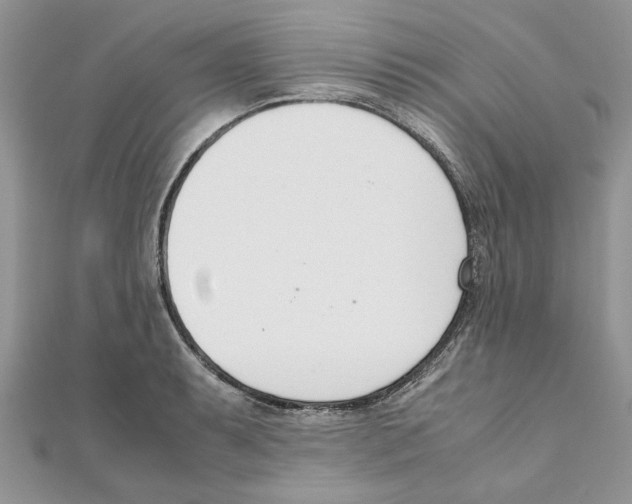 X0000111661087200908141308