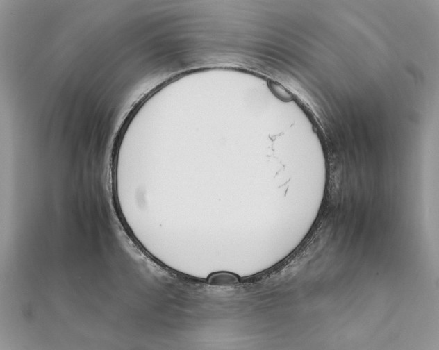 X0000111661088200908141308