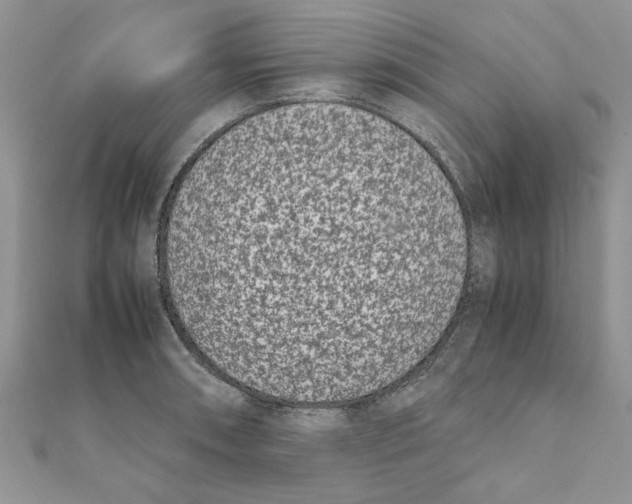 X0000111661090200908141308