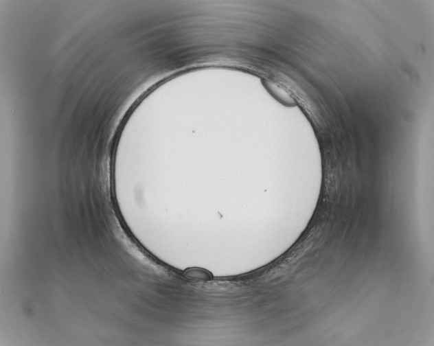 X0000111661092200908141308