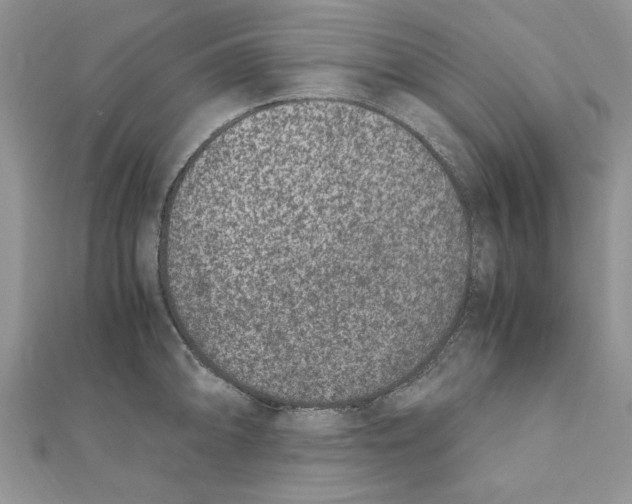 X0000111661094200908141308