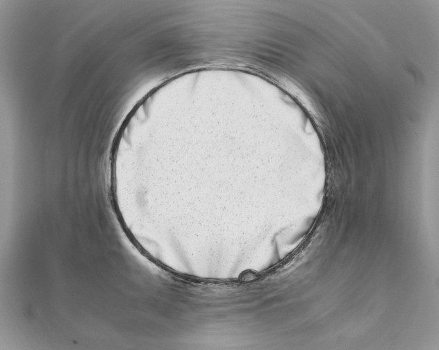 X0000111661095200908141308