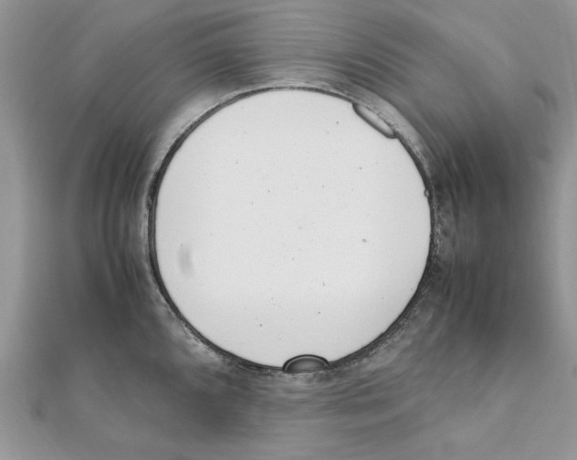 X0000111661096200908141308