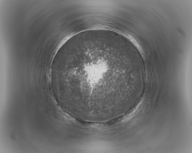 X0000111661097200908141308