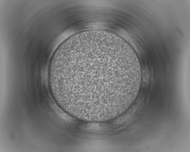 X0000111661098200908141308