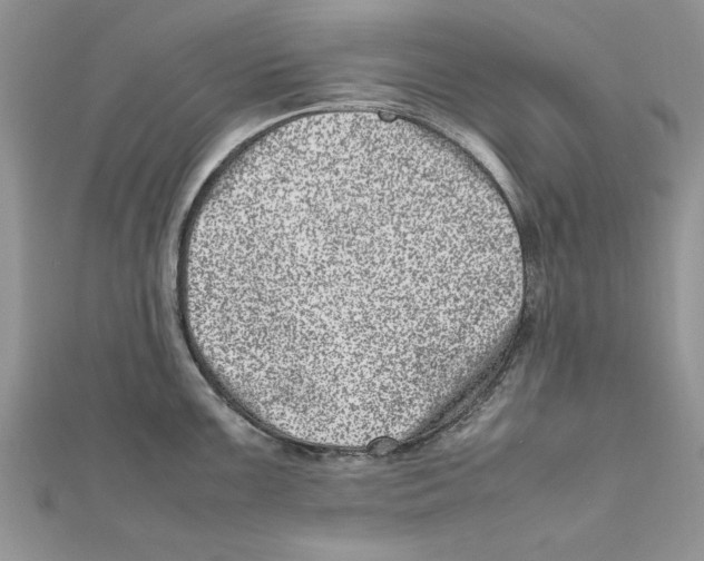 X0000111661099200908141308