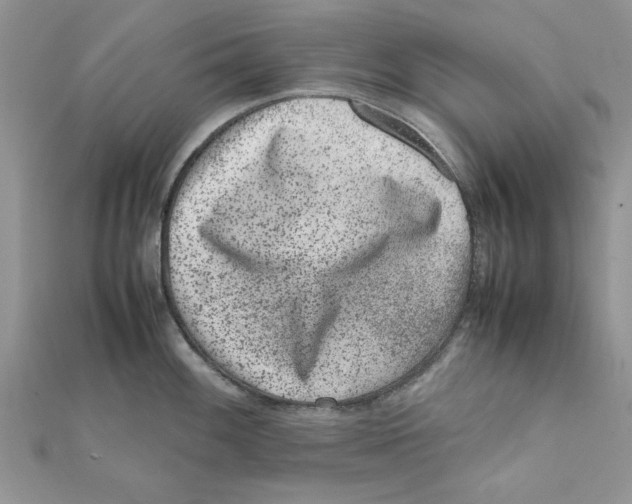 X0000111661100200908141308