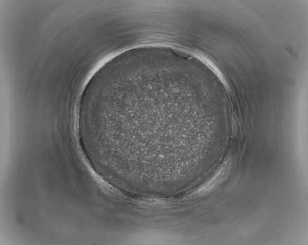 X0000111661101200908141308