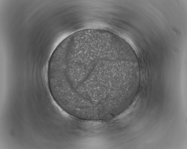 X0000111661103200908141308