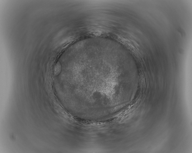 X0000111661105200908141307