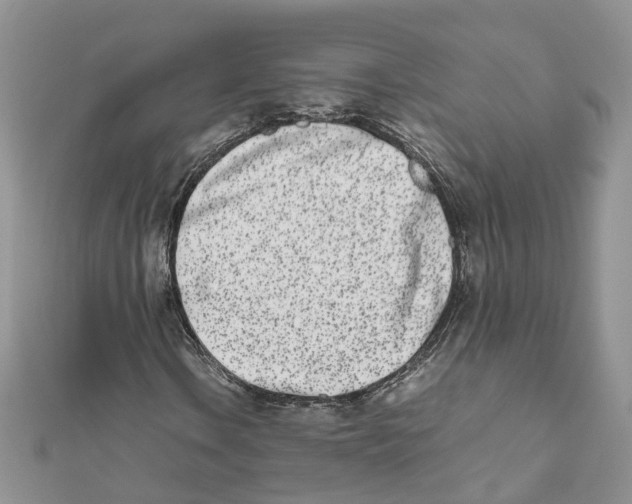 X0000111661106200908141307