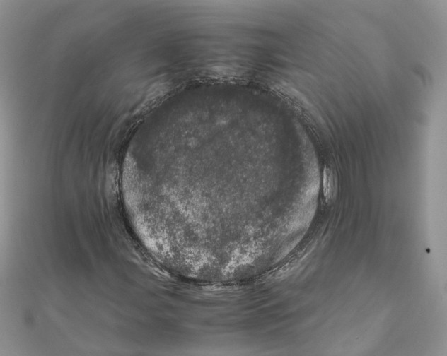 X0000111661107200908141307