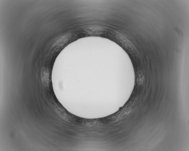 X0000111661108200908141307