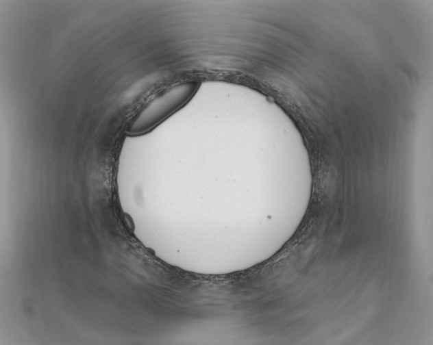 X0000111661110200908141308