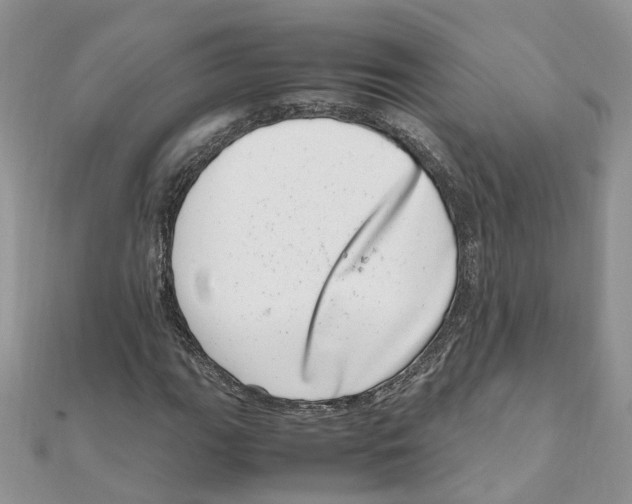 X0000111661111200908141308