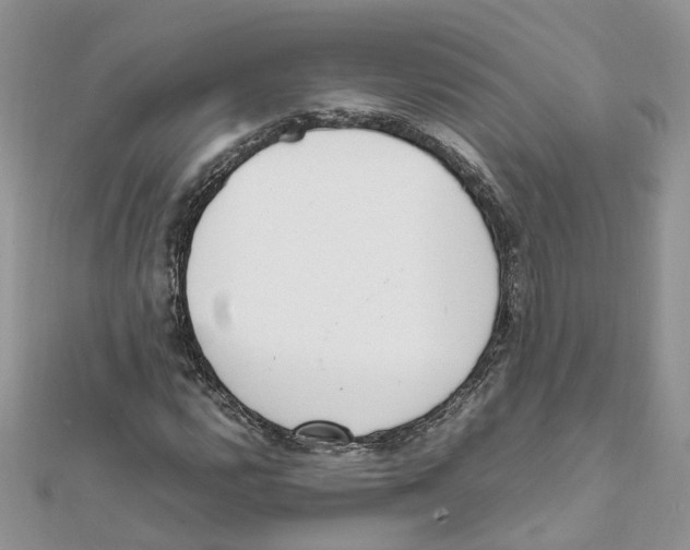 X0000111661112200908141308