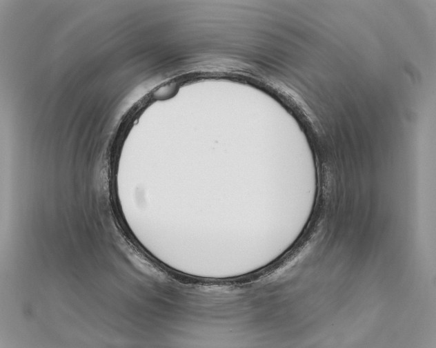 X0000111661114200908141308