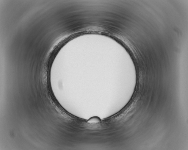 X0000111661115200908141308