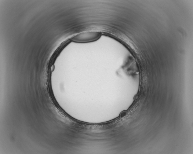 X0000111661116200908141308