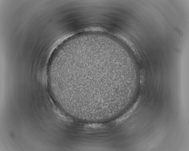 X0000111661117200908141308