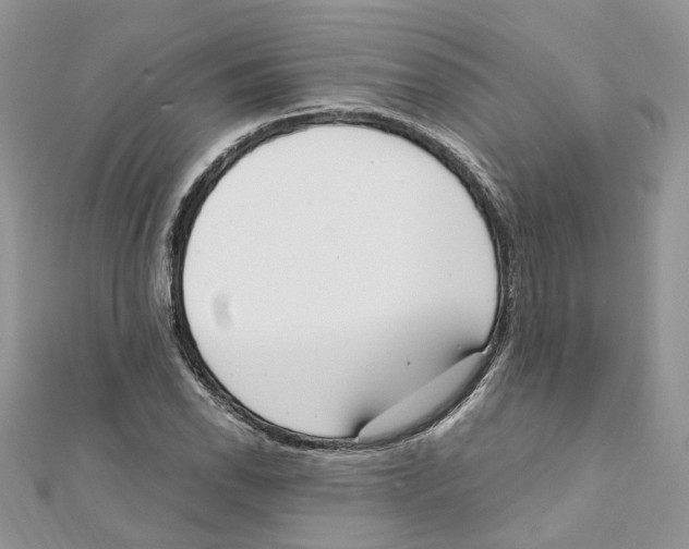 X0000111661118200908141308