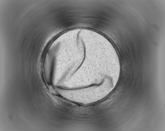 X0000111661119200908141308