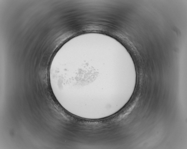 X0000111661121200908141308