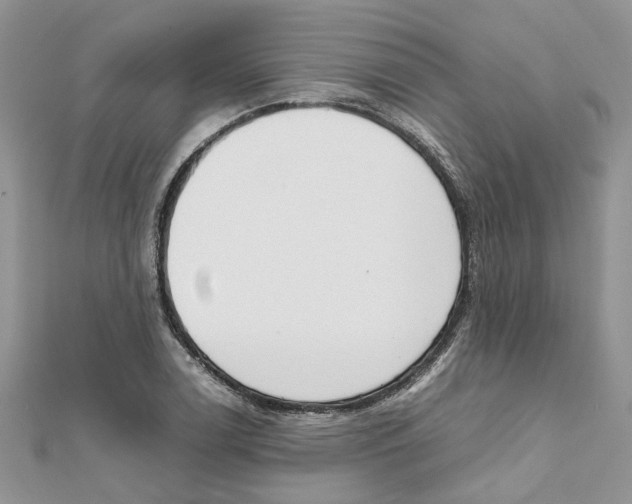 X0000111661122200908141308