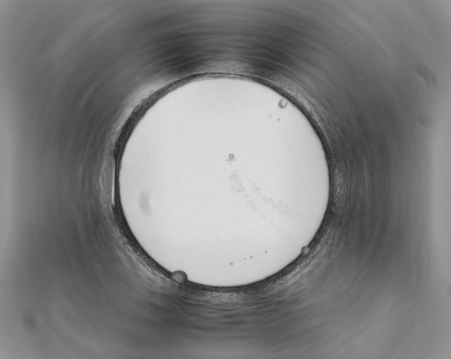 X0000111661123200908141308