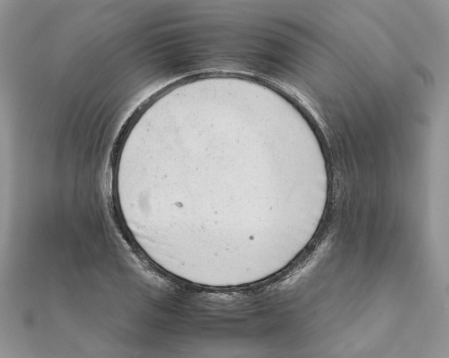 X0000111661125200908141308