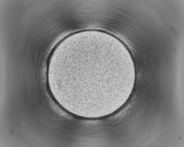 X0000111661126200908141308