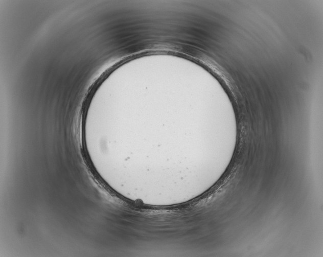 X0000111661127200908141308