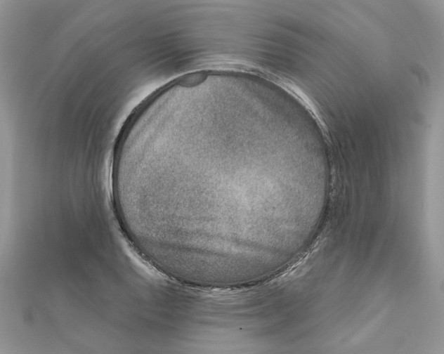 X0000111661128200908141308