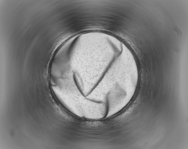 X0000111661129200908141308