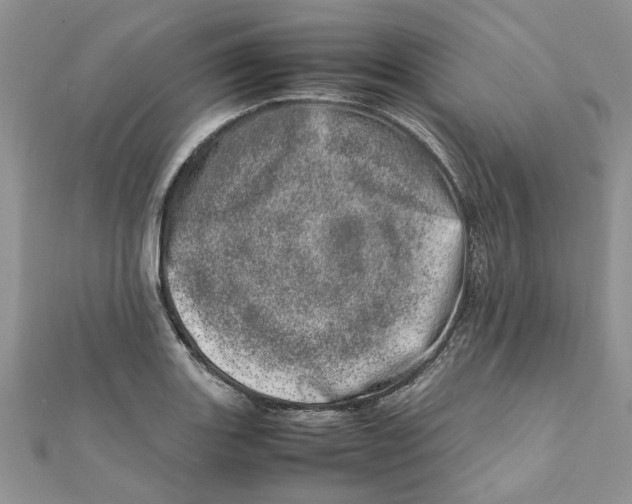 X0000111661131200908141308