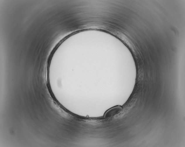 X0000111661132200908141308