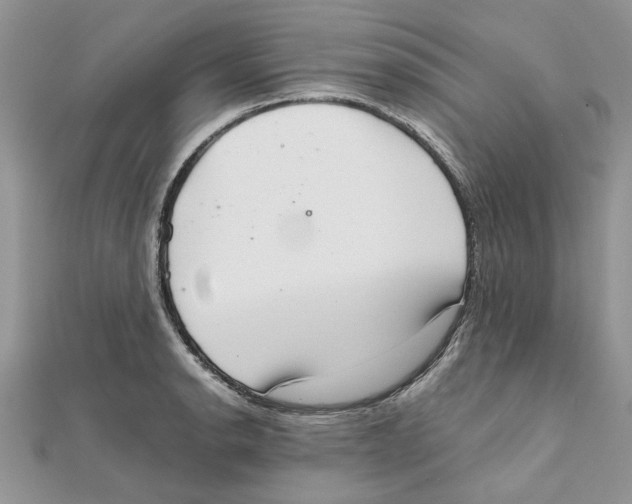 X0000111661134200908141308