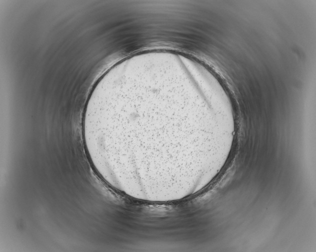 X0000111661137200908141308