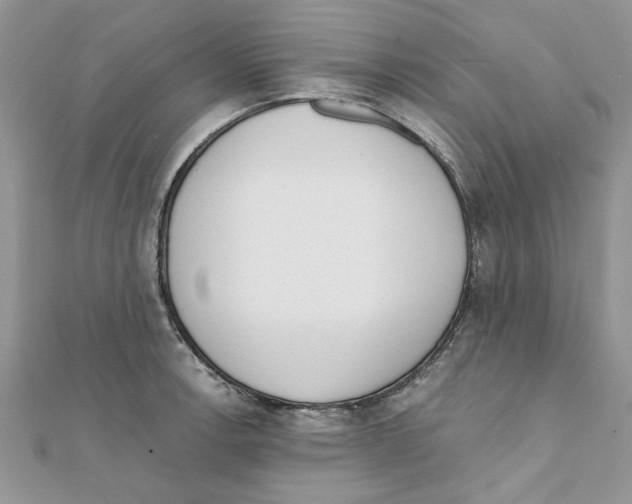 X0000111661138200908141308