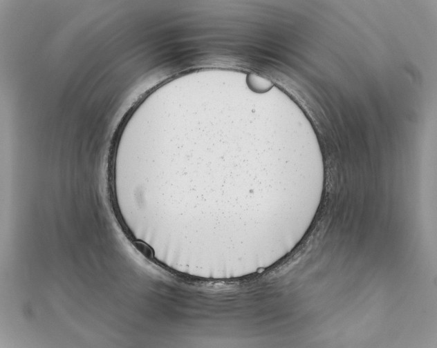 X0000111661139200908141308