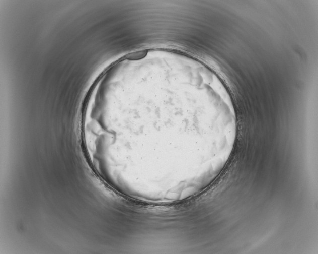 X0000111661140200908141308