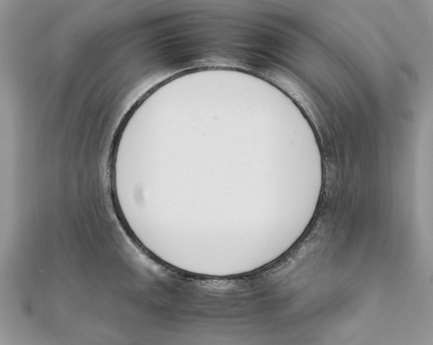 X0000111661141200908141308