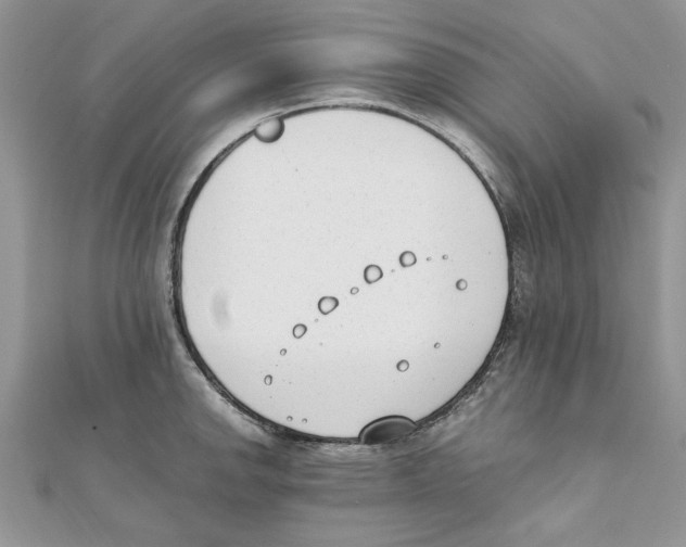 X0000111661142200908141308