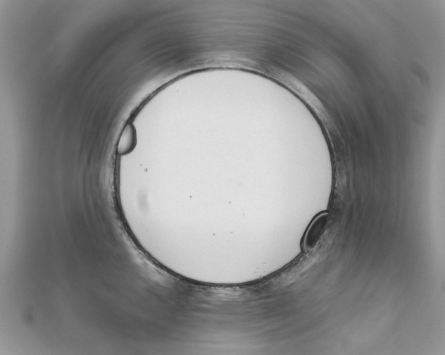 X0000111661144200908141308