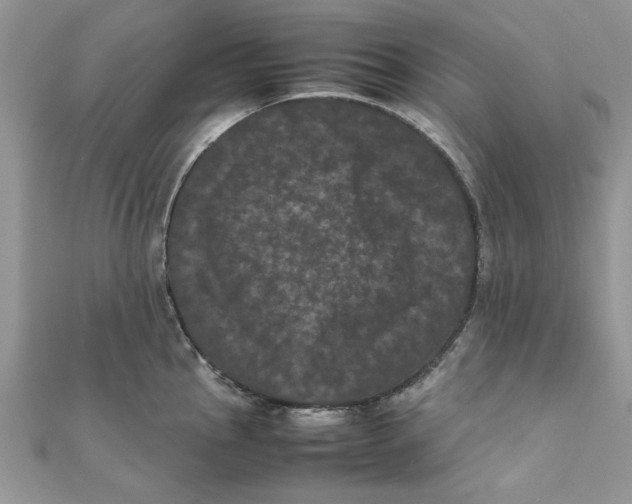 X0000111661145200908141308