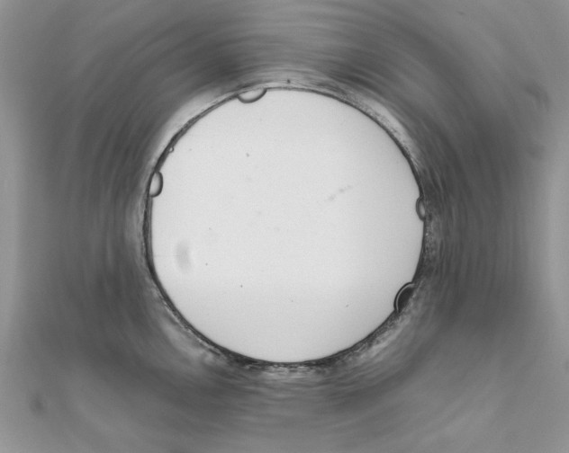 X0000111661146200908141308