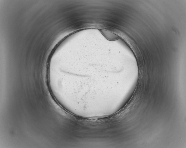 X0000111661147200908141308