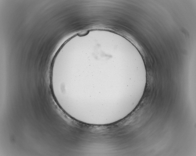 X0000111661148200908141308