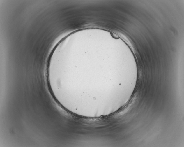 X0000111661149200908141308